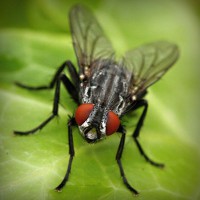 /album/tutorial-de-la-contaminacion/photolia-a01-jpg/